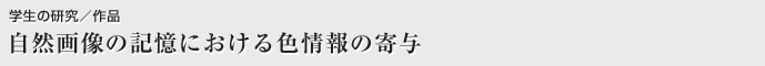 自然画像の記憶における色情報の寄与